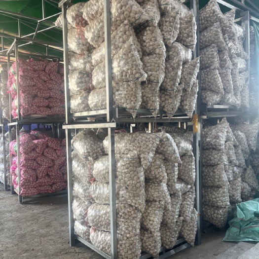 邳州市[2023新蒜]新干大蒜批发新鲜紫白皮大蒜头籽农家种