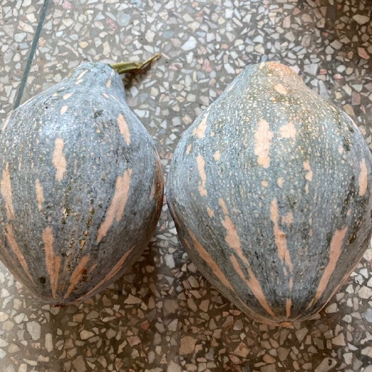横州市香芋南瓜