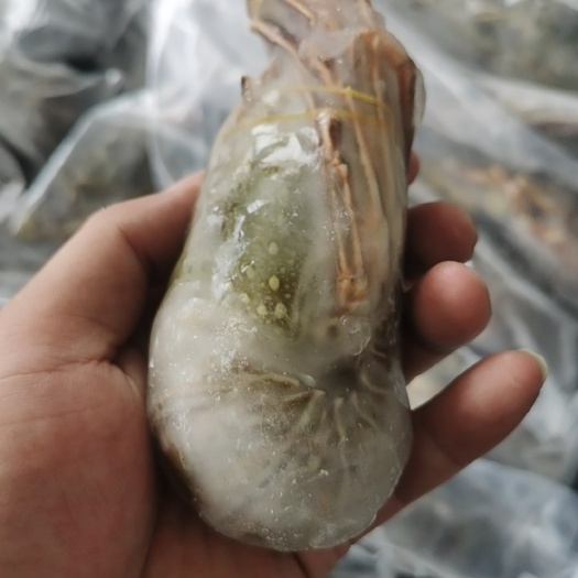 成都越南小青龙C级