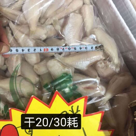 重庆市干冰20/30耗儿鱼，去箱18斤