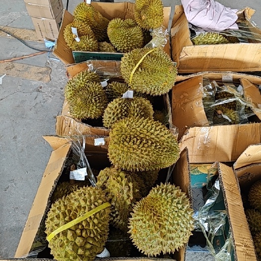 甜脆榴莲适合炖鸡炖排骨