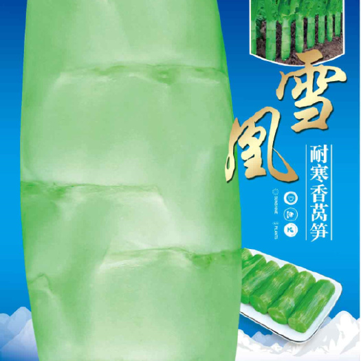 七禾耐寒圆叶耐抽薹莴笋种子/雪凰/青肉青叶青皮/三青莴笋种子