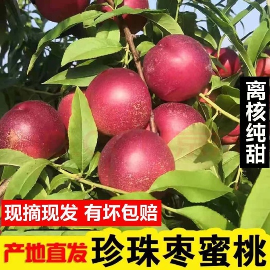 珍珠枣油桃2025年新货，支持全平台一件代发