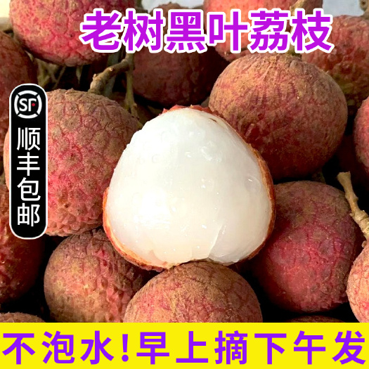 平和县【顺丰】新鲜荔枝福建漳州当季水果黑叶荔枝5斤非白糖妃罂子笑桂
