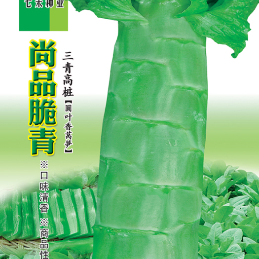 眉山七禾耐寒耐抽薹圆叶三青香莴笋种子/尚品脆青