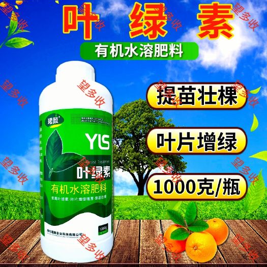 潍坊珺颜叶绿素叶面肥提苗壮棵叶片增绿增厚有机水溶肥1000克