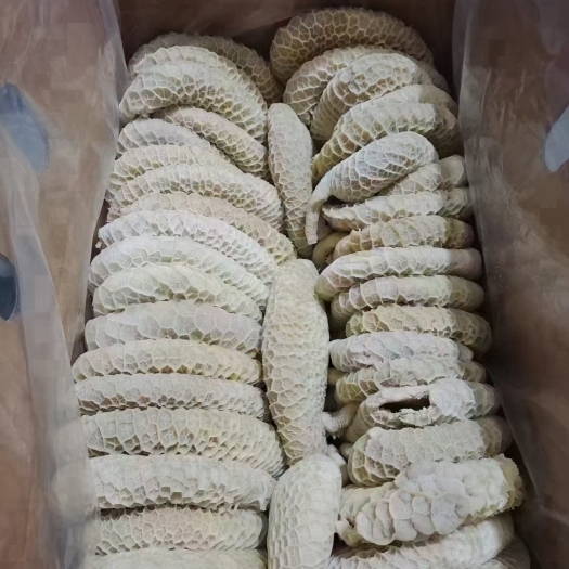 中牟县全熟水煮金钱肚 纯干货 大小均匀