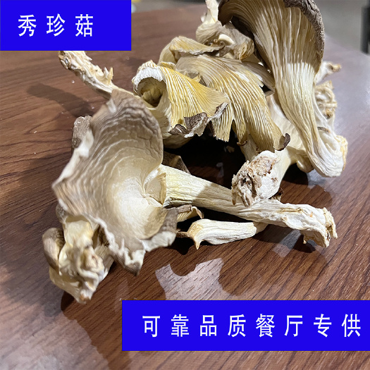 古田县秀珍菇干货产地直发价格公道可对比品质货源足直接发货