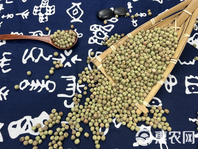 大叶绿麻豌豆苗芽苗菜种子大叶豌豆苗水培芽苗菜种子