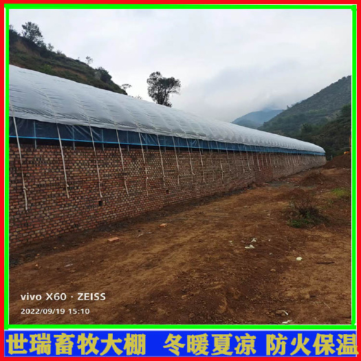 宁津县养鸡场鸡棚建设鸡舍大棚搭建肉鸡养殖棚施工厂家