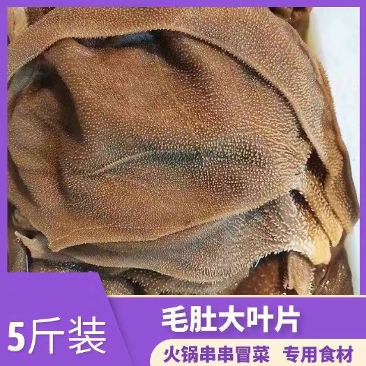 重庆市毛肚牛百叶5斤装新鲜牛肚大叶片重庆火锅食材批发