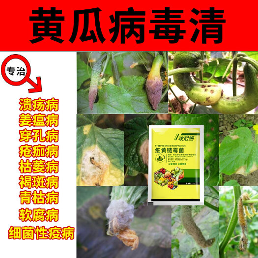 栾川县垄沃黄瓜专用土壤杀菌剂掉叶叶黄溃烂黑腐叶斑病炭疽裂果发霉烂根