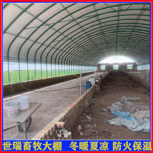 宁津县养牛大棚施工建造牛舍大棚安装肉牛养殖大棚施工厂家