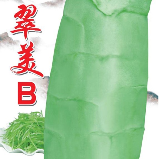 眉山七禾耐寒尖叶青莴笋种子 翠美B 青肉青叶
