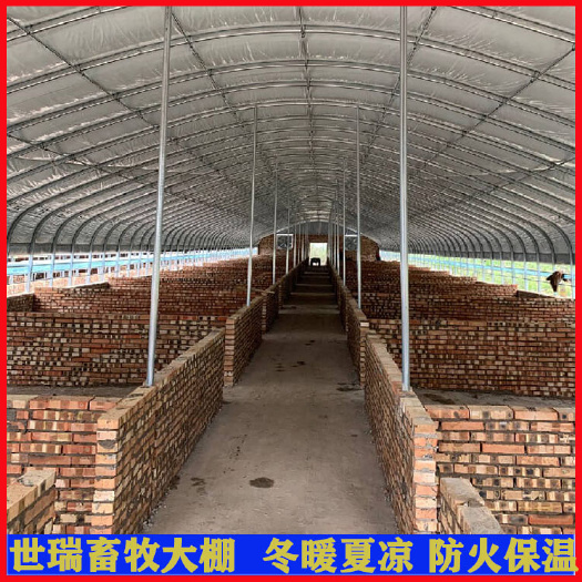 宁津县养猪大棚施工安装 猪舍大棚建设 黑猪养殖大棚搭建