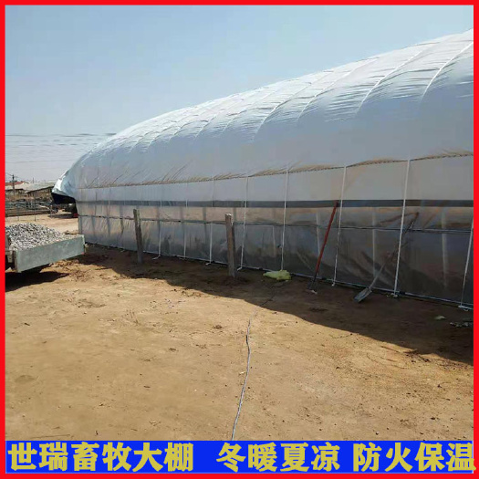 宁津县建设养鸭大棚 鸭舍大棚安装 肉鸭养殖大棚施工安装