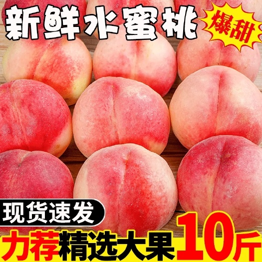 南宁陕西露天水蜜桃10斤桃子新鲜水果当季整箱脆甜毛桃现摘时令油密