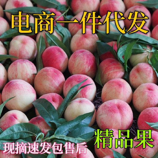 泸西县精品现货突围水蜜桃10斤整箱包邮 甜可一件代发