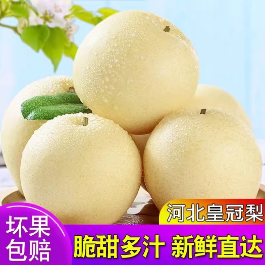赵县河北皇冠梨新鲜梨子整箱水果当季脆甜鸭梨砀山白梨子雪梨包