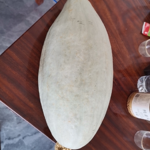 南宁板栗南瓜，银栗南瓜，贵族南瓜