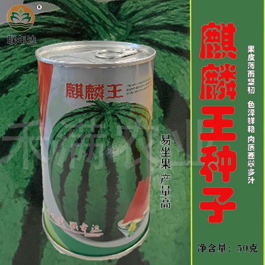 武汉麒麟王西瓜种子冰糖麒麟王热销品种高糖抗病果肉红色的西瓜种籽