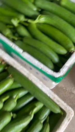 天门市精品油亮丝瓜