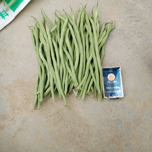 成县架豆王大量上市价格不高需要的联系我