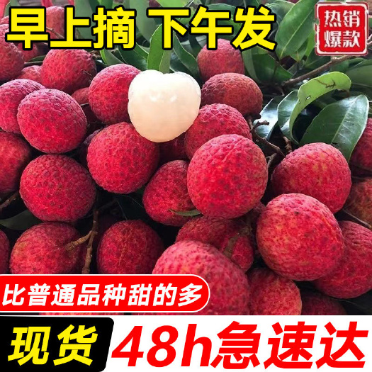 兴业县糯米糍荔枝 新鲜采摘 纯甜多汁