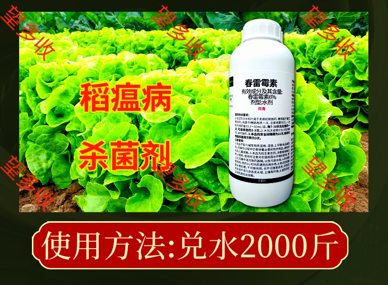 6%春雷霉素1000克 稻瘟病角斑穿孔等真细菌病