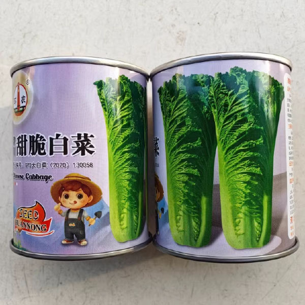 青麻叶白菜种子，高帮直筒包心，甜脆白菜，抗病，基地专用