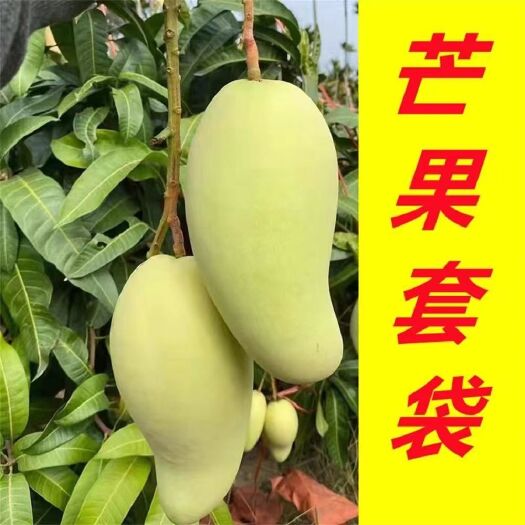 义乌市芒果套袋金煌芒果专用套袋鹰嘴芒果袋台农芒套袋单双层套袋