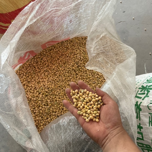 潢川县黄豆，大豆，豆制品