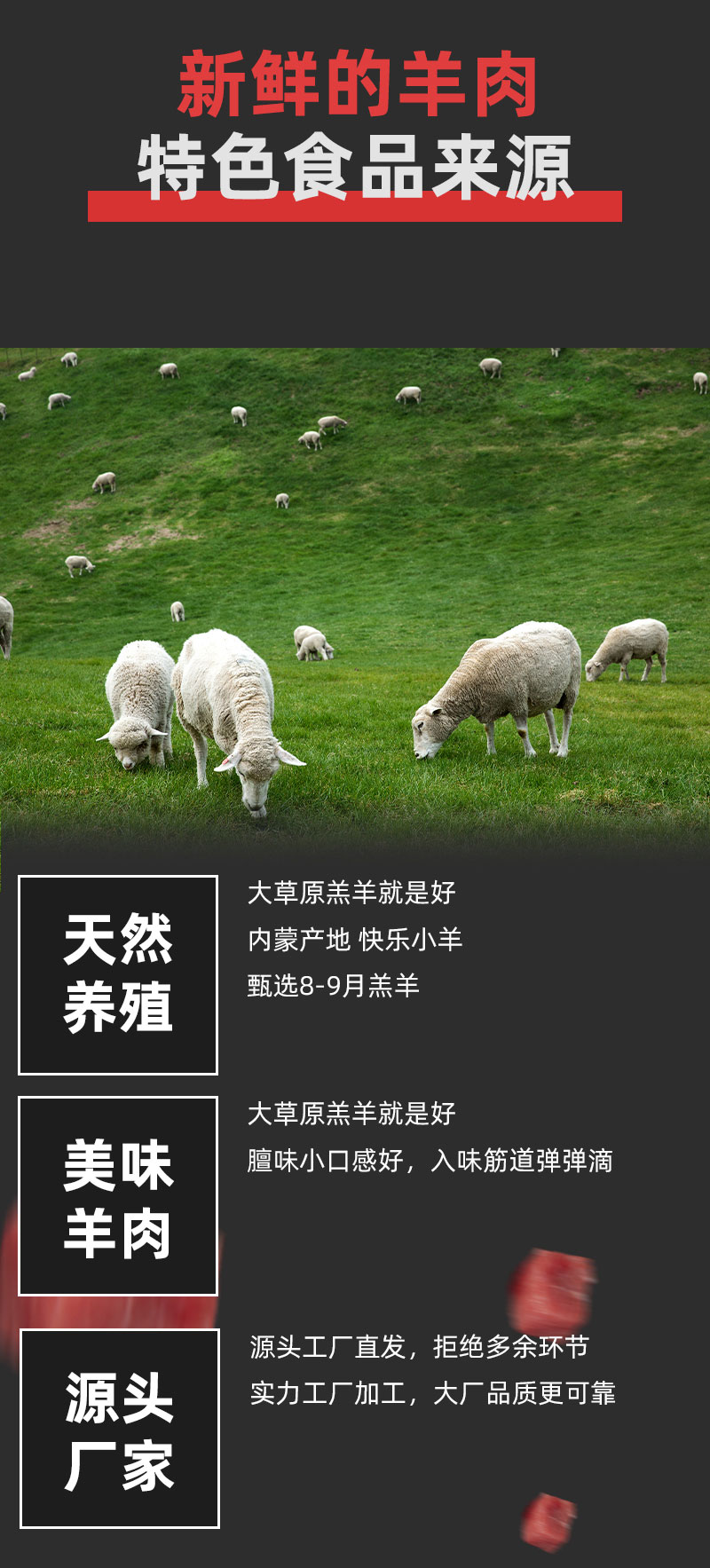 内蒙古带皮羊排 带骨原切 鲜货冷冻 真空包装