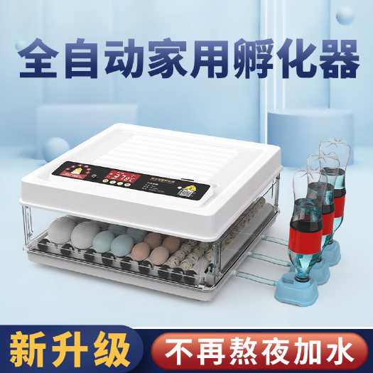 长沙孵化机全自动智能小鸡苗鸭鹅孵化器小型家用孵化箱鸽子鹦鹉孵蛋器