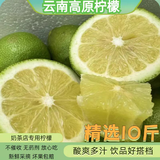个旧市云南新鲜青柠檬汁多香水一级果应当季品种奶茶店专用9斤现采