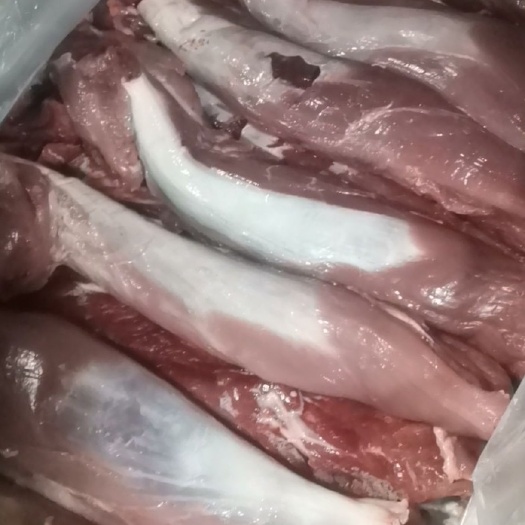 母猪五号肉，冻品，鲜品，品质保证