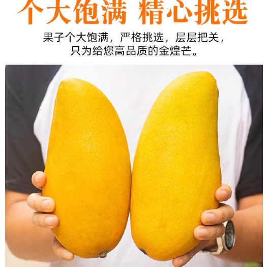 田东县越南大青芒金煌芒当季芒果单果500g净重9斤