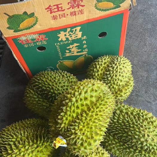 南宁泰国金枕榴莲