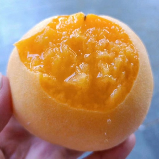 顺丰包邮~山东蒙阴高山黄桃，黄毛桃