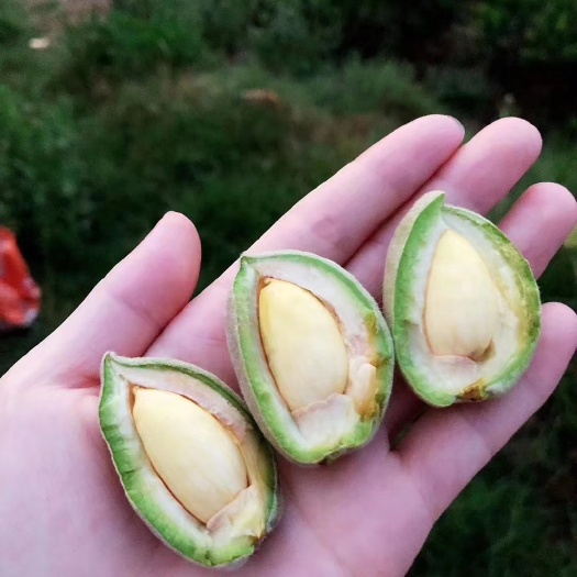 南阳巴旦木鲜果 纸皮巴旦木果 扁桃 口感香甜 营养高