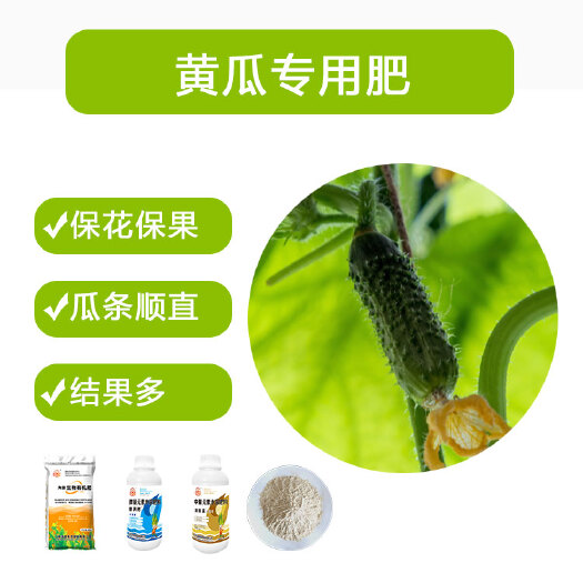日照海藻原液+有机质+氮磷钾+硼钙肥+黄瓜专用有机肥套餐