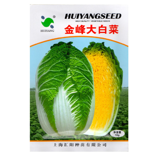济南金峰大白菜种子橘红心白菜种子金色万物生中晚熟黄心白菜种子