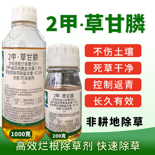 寿光市笔管劲锄节节草草甘膦除草剂2甲4氯除草剂笔管草除草果园烂根死