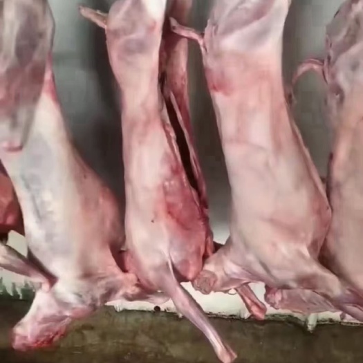 济南羊白条清真批发