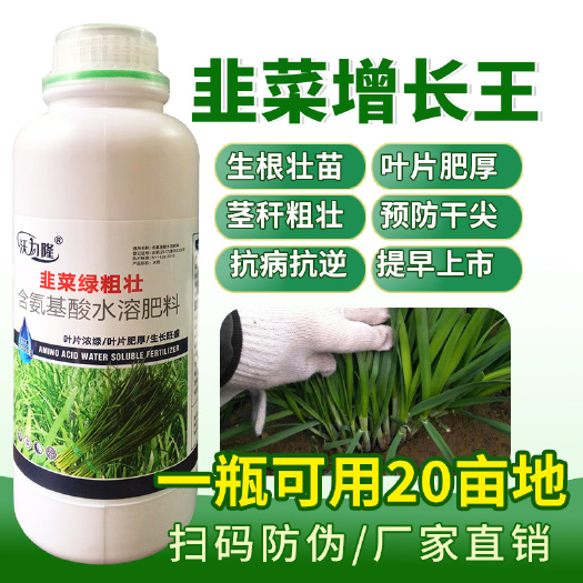 寿光市韭菜粗壮黑又亮叶面肥早熟防干尖嫩直长肥厚抗病绿增产韭菜专用肥