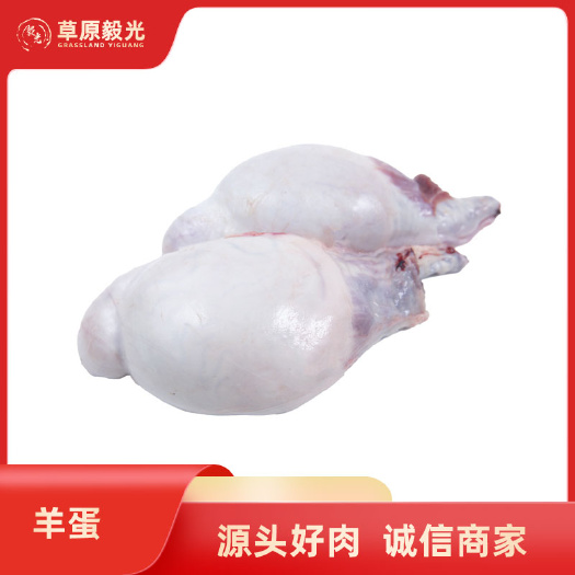 羊宝新鲜羊蛋内蒙古草原羊