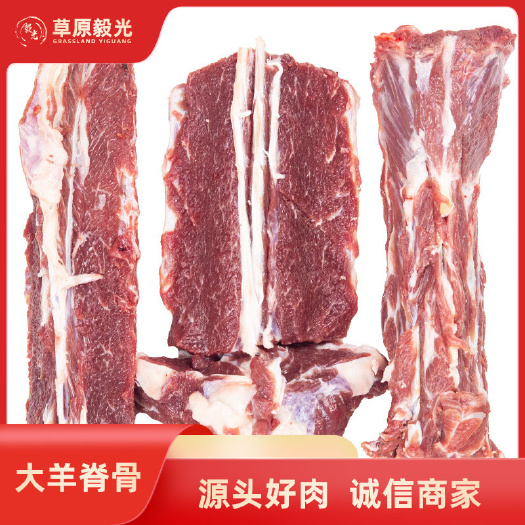 大羊脊骨,内蒙古草原羊,满肉羊蝎子,工厂发货