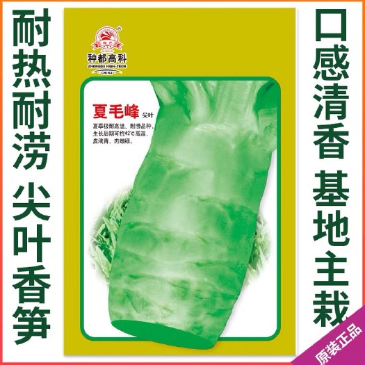 徐州种都高科耐热莴笋种子夏毛峰尖叶品种 皮浅绿白 肉嫩绿 耐涝