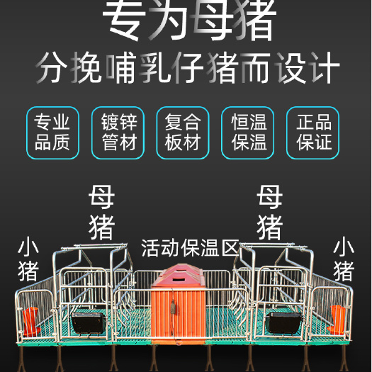 泊头市热镀锌母猪产床 产保一体保育床 猪用产床