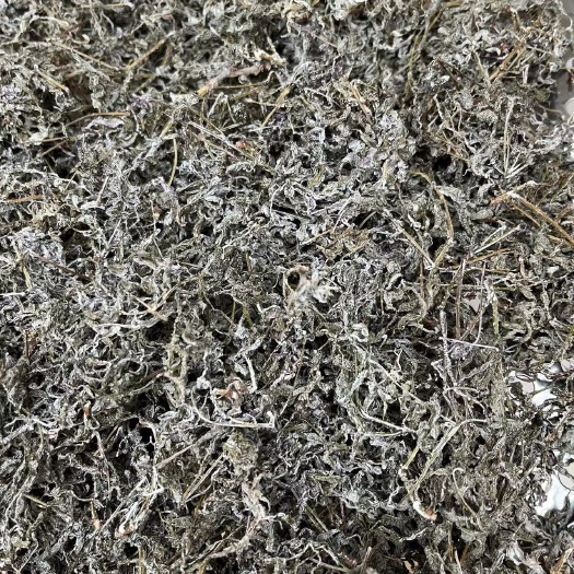 贺州藤茶，广西野生货